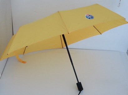 Parapluie de poche