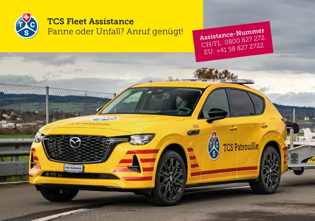 TCS Fleet Assistance DE