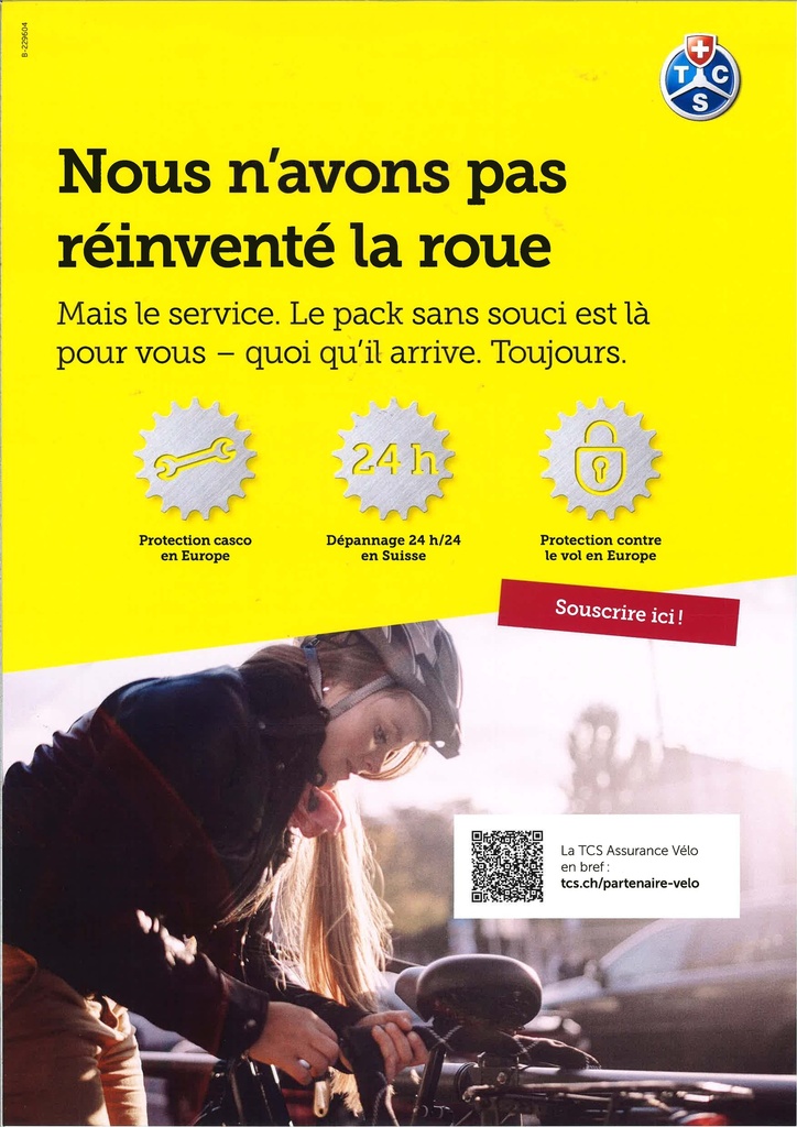 VeloVe Plakat A1 FR