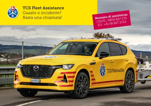[B-232205] TCS Fleet Assistance IT