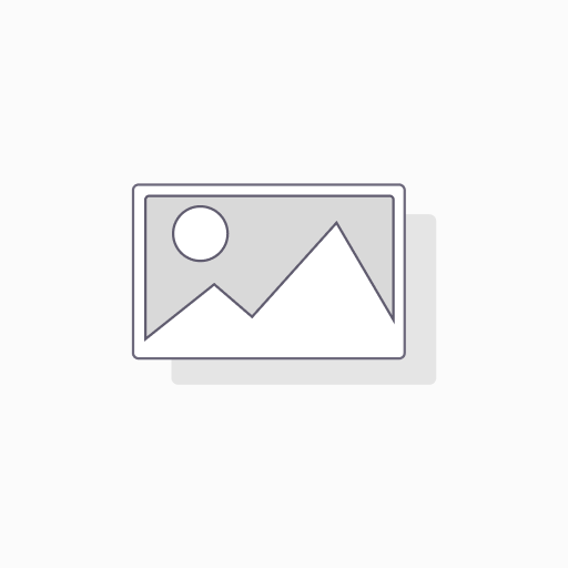 [SRO-1000310] Petit livre d'images interactif